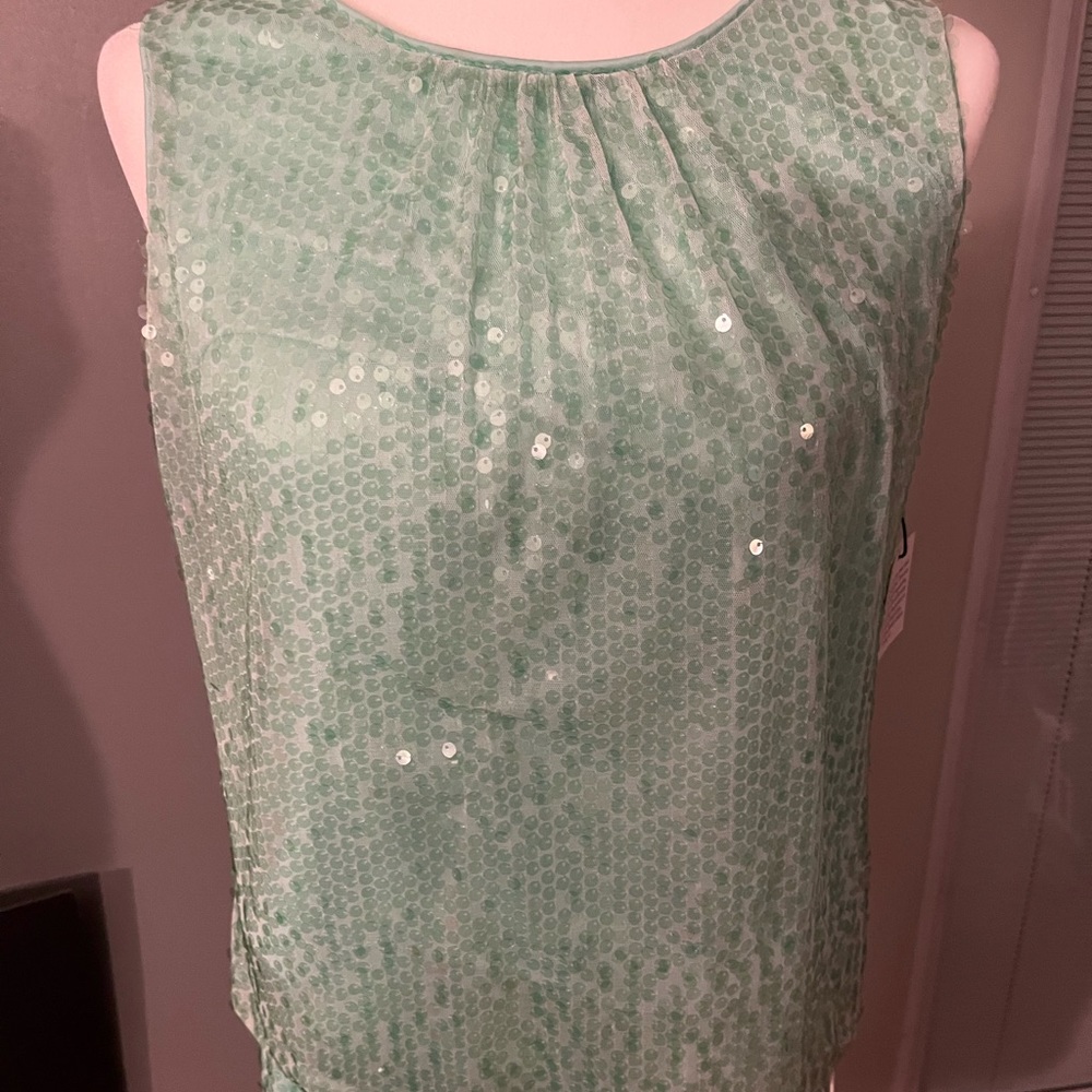 CALVIN KLEIN Mint Green Outfit Size 8 Petite Medium, Sequinned by hand